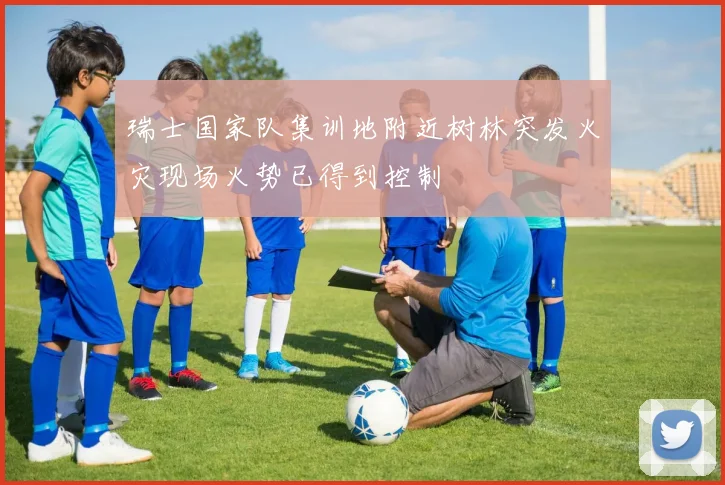 瑞士国家队集训地附近树林突发火灾现场火势已得到控制