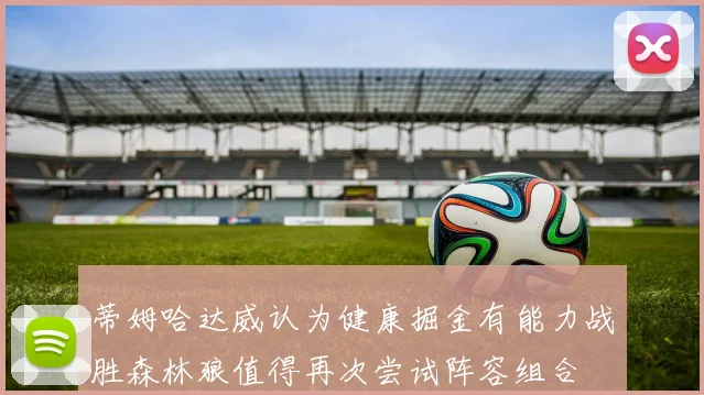 蒂姆哈达威认为健康掘金有能力战胜森林狼值得再次尝试阵容组合